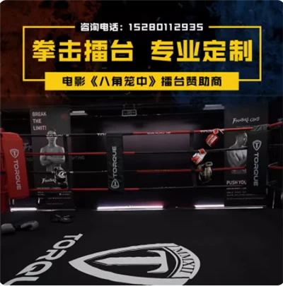 MMA için sekizgen