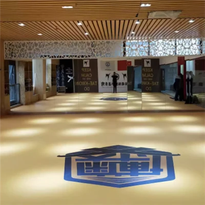Boks Jodo MMA için XPE Mat