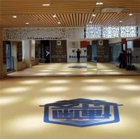 Boks Jodo MMA için XPE Mat