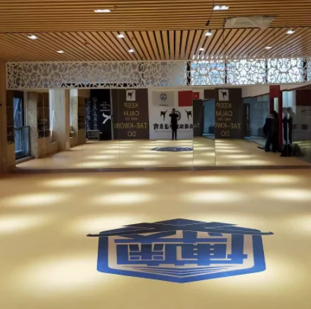 Boks Jodo MMA için XPE Mat